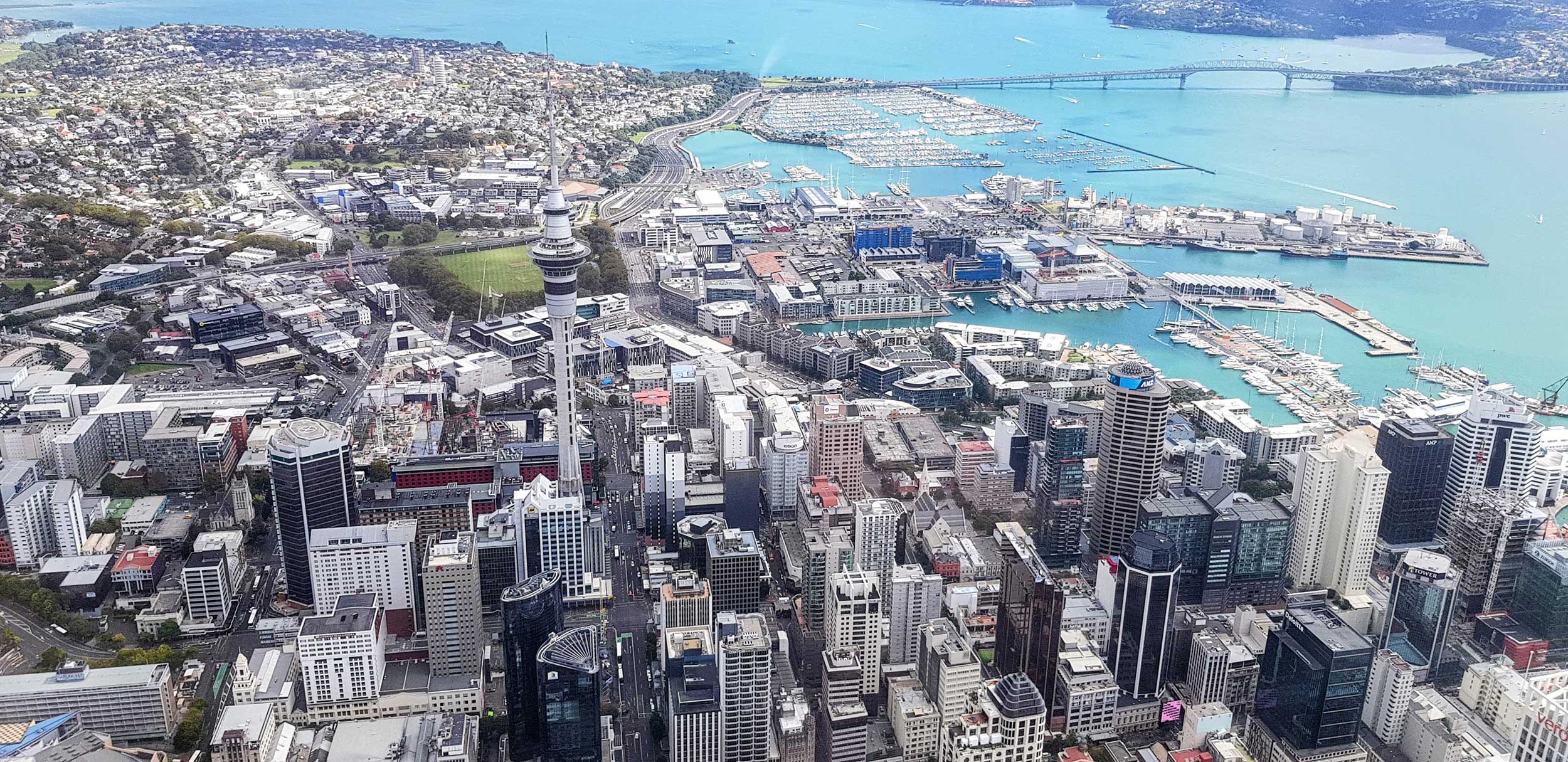 NZ Social Media Marketing & Management: Campaigns That Deliver Real Results